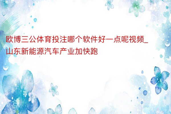 欧博三公体育投注哪个软件好一点呢视频_山东新能源汽车产业加快跑