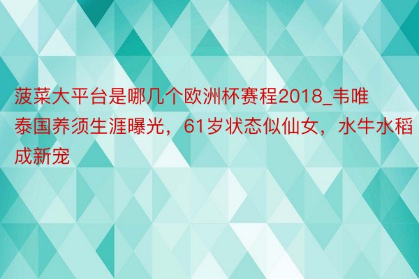 菠菜大平台是哪几个欧洲杯赛程2018_韦唯泰国养须生涯曝光，61岁状态似仙女，水牛水稻成新宠
